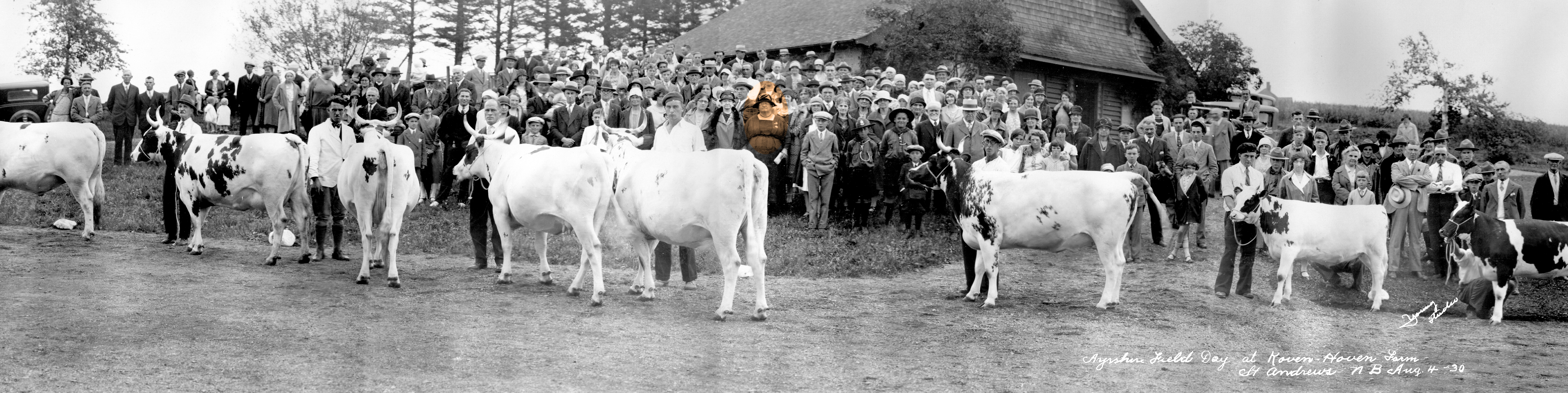 Ayyshire Field Day Detail